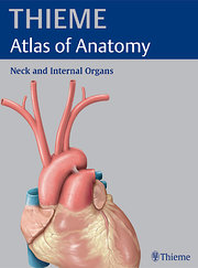 Thieme Atlas of Anatomy. Neck an Internal Organs (Thieme Atlas of Anatomy Series)