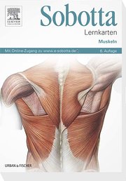Sobotta Lernkarten Muskeln: Muskeln - mit Zugang zum Elsevier-Portal